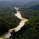 Viva Maria: uma mulher na linha de frente pela Amazônia