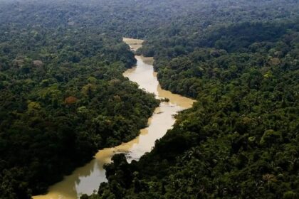 Viva Maria: uma mulher na linha de frente pela Amazônia