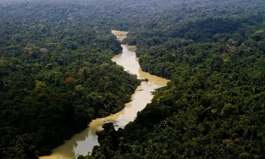 Viva Maria: uma mulher na linha de frente pela Amazônia