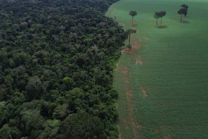 Agro cresce 561% no entorno de áreas protegidas na Amazônia em 41 anos