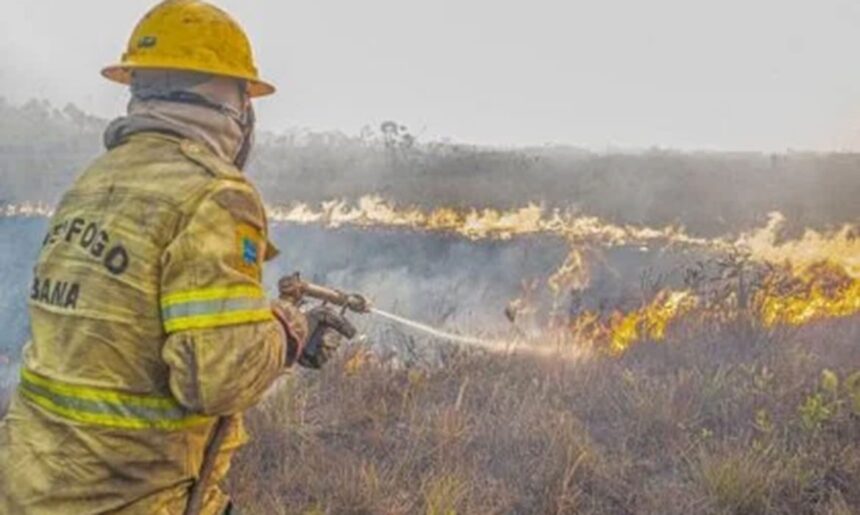 Defesa Civil aprova mais de R$ 21 milhões contra incêndios no AM