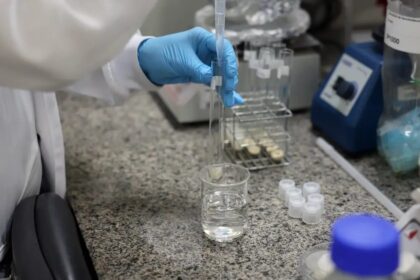 Doença de Newcastle: protocolos sanitários são cumpridos em SC