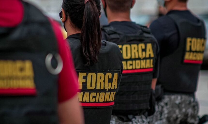 Força Nacional e PF vão combater e investigar incêndios no Pará
