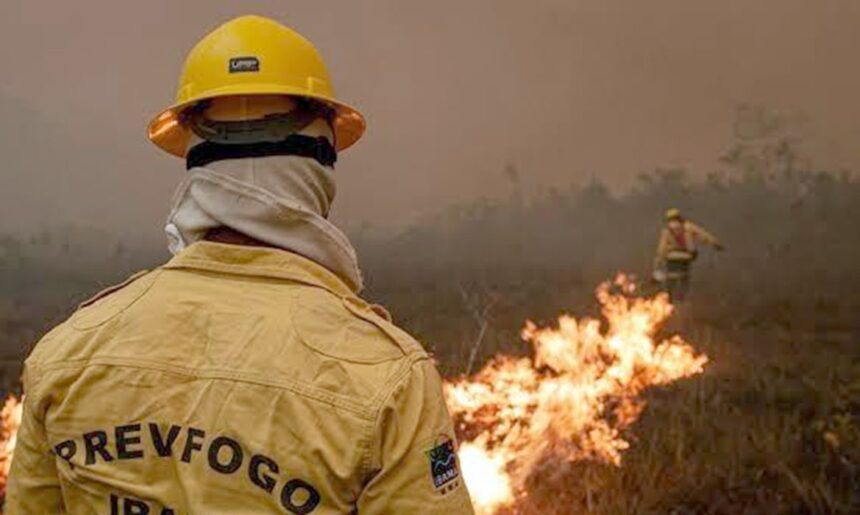 Governo faz força-tarefa e envia 11 aeronaves para combater fogo no AM