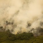MG: principal foco de incêndio em Terra Indígena Maxakali é controlado