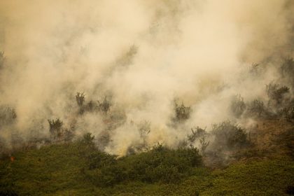 MG: principal foco de incêndio em Terra Indígena Maxakali é controlado