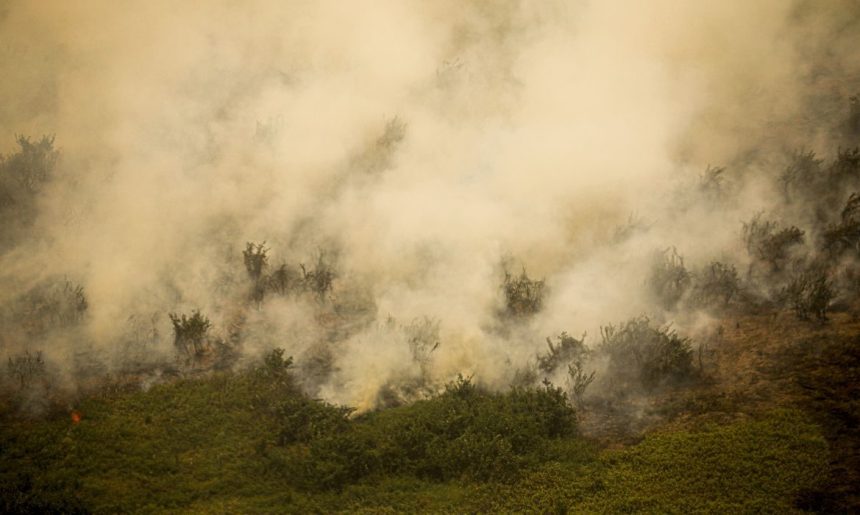MG: principal foco de incêndio em Terra Indígena Maxakali é controlado