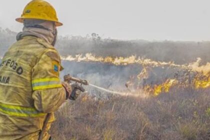 PF abre 9 procedimentos para apurar incêndios em cidades do Amazonas