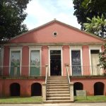 Pesquisa aponta seis novas espécies de moscas na Amazônia