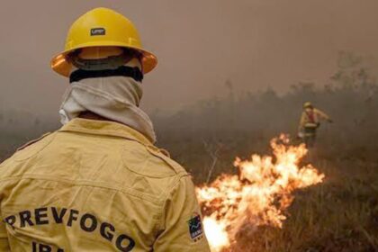 Plano de ação contra incêndios no Amazonas terá R$ 14 milhões